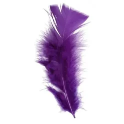 Plume De Décoration 7 Cm X 20 Pi Ces