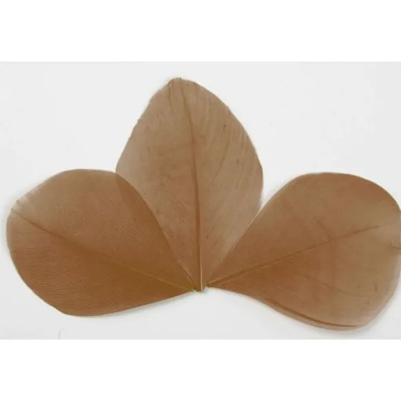 Plume Feuille Chocolat X 96 Pi Ces