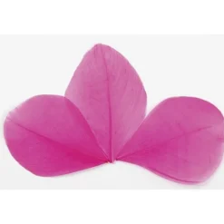 Plume Feuille Pas Cher X 96 Pi Ces