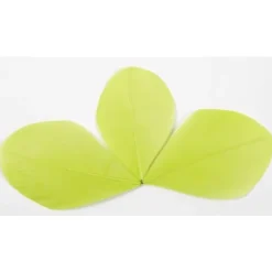 Plume Feuille Pas Cher X 96 Pi Ces