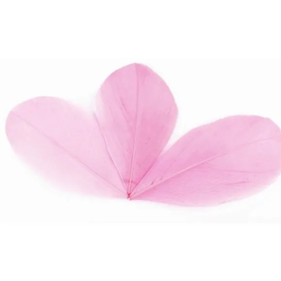 Plume Feuille Rose X 96 Pi Ces