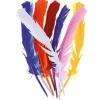 Plumes Couleurs Al Atoires 30 Cm X12Pcs