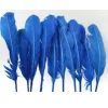 Plumes De Dinde Bleu X10Pcs