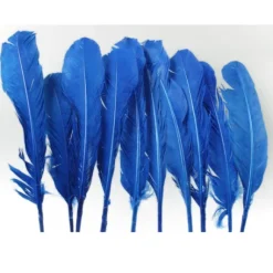 Plumes De Dinde Bleu X10Pcs