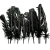 Plumes De Dinde Noir X10Pcs