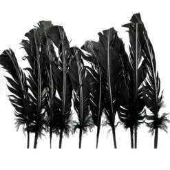 Plumes De Dinde Noir X10Pcs
