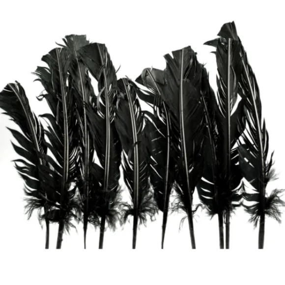 Plumes De Dinde Noir X10Pcs