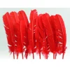 Plumes De Dinde Rouge X10Pcs