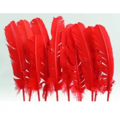 Plumes De Dinde Rouge X10Pcs
