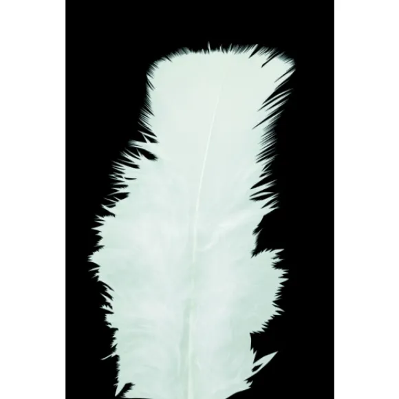 Plumes Pieds Plats Blanc X100Pcs