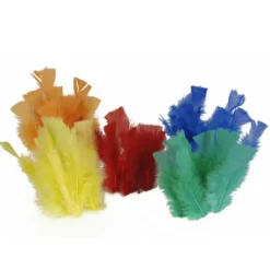 Plumes Pieds Plats Multicolore X100Pcs