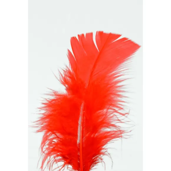Plumes Pieds Plats Rouge X100Pcs