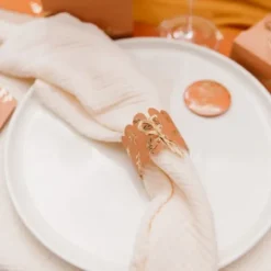 Rond De Serviette Jolius Brins Terracotta X 10 Pi Ces