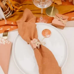 Rond De Serviette Jolius Brins Terracotta X 10 Pi Ces