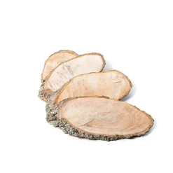 Rondin De Bois Ovales 20 Cm X 4 Pi Ces