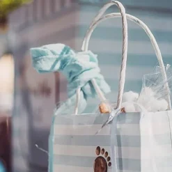 Ruban Gaze De Coton Bleu Ciel