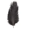 Sachet 2 Plumes Autruche Noir 30-35 Cm