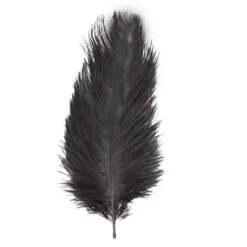 Sachet 2 Plumes Autruche Noir 30-35 Cm