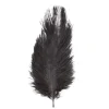 Sachet 5 Plumes Autruche Noir 20-25 Cm