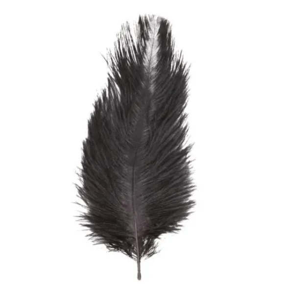 Sachet 5 Plumes Autruche Noir 20-25 Cm
