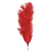Sachet 5 Plumes Autruche Rouge 20-25 Cm
