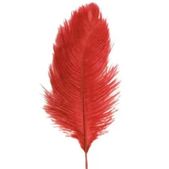 Sachet 2 Plumes Autruche Rouge 30-35 Cm