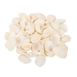 Sachet De 100Gr De Coquillages Coques Blanc