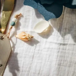 Sachet De 100Gr De Coquillages Bigorneaux