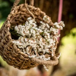 Set De 2 Paniers Tress S Naturels Avec Anse