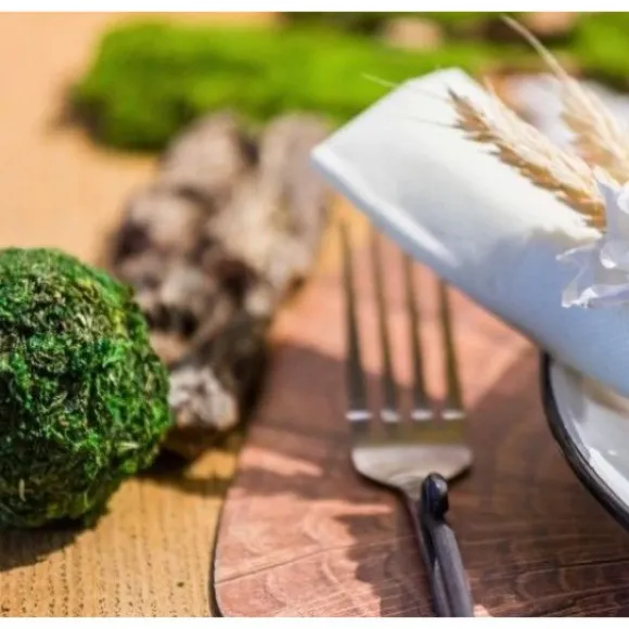 Set De Table Tronc D'Arbre Naturel 38Cm