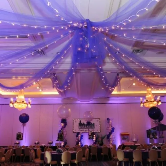 Tenture De Salle Paillet Parme X 12 M Tres