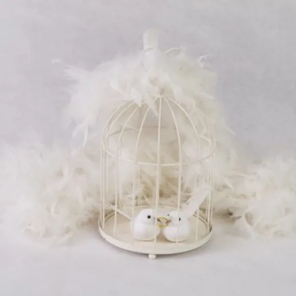 Urne Cage Oiseau Coeur
