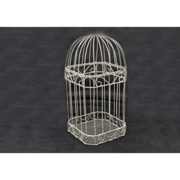 Urne Cage Oiseau Des Mari S Blanche