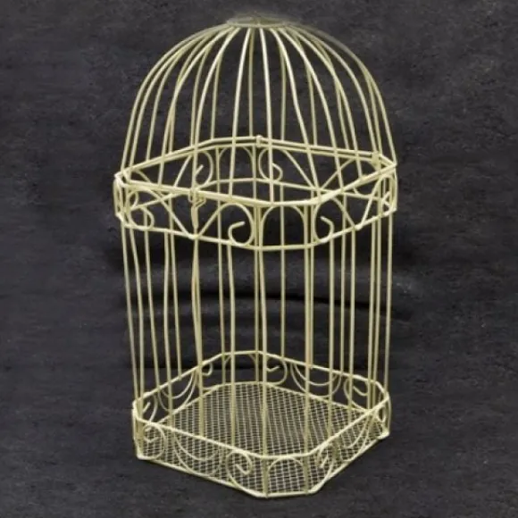 Urne Cage Oiseau Des Mari S Ivoire