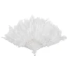Ventail Plumes Blanc 43 Cm